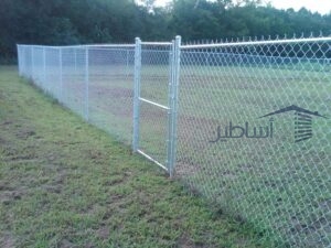 شبوك خيول