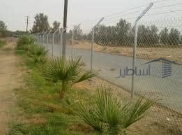 تركيب شبوك 12