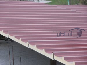 سندويتش بنل