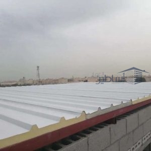 سندويش بنل الرياض